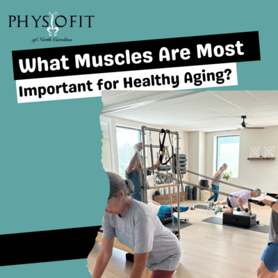 What muscles are most important for healthy aging?