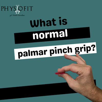 What is normal palmar pinch strength?