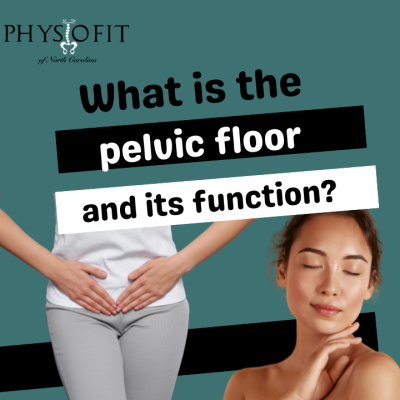 What is the pelvic floor and its function?
