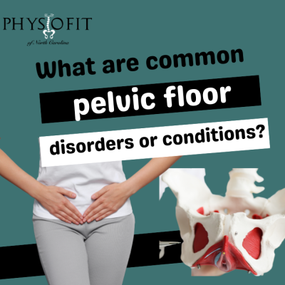 What Are Common Pelvic Floor Disorders or Conditions?