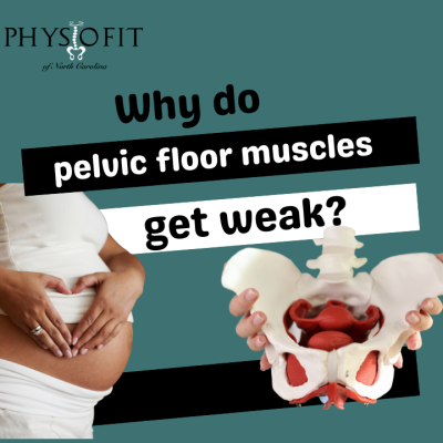 Why do pelvic floor muscles get weak?