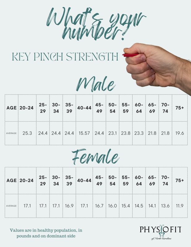Average Key Pinch Strength