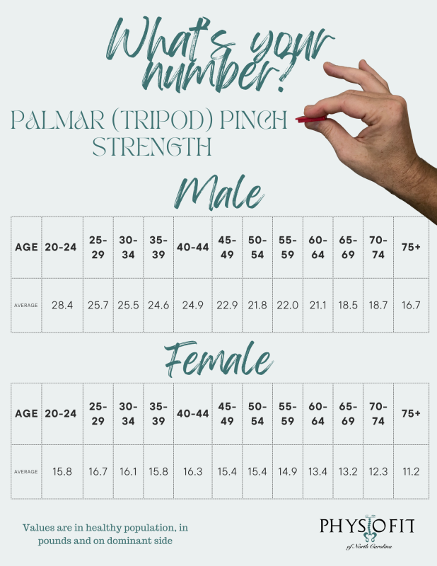 Average Palmar Pinch Strength