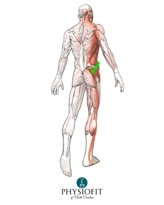 6 Green Zones Hip Stability
