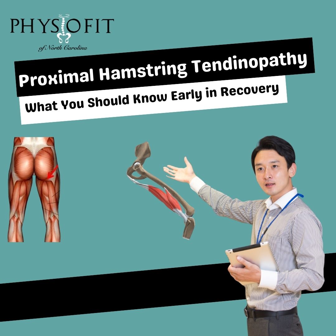 Proximal Hamstring Tendinopathy: What You Should Know Early in Recovery